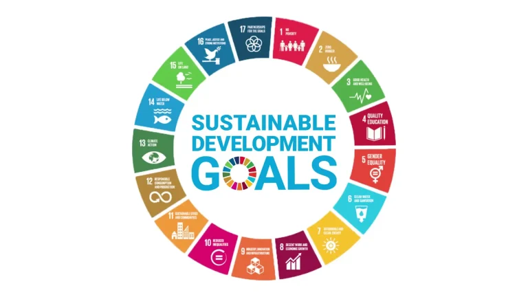 National Development Goals 2024